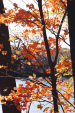 L'automne dans le Massachussets