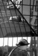 Reflets 1