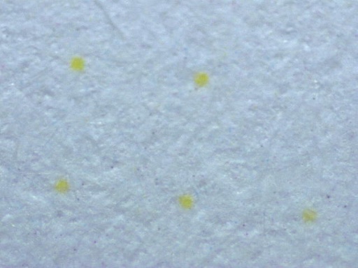 xerox doc12 test01 jpg