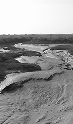 Île de Ré - Copyright (C) 2007-08 Anne Roumazeilles - All rights reserved