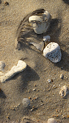 Pebbles and feather - Copyright (C) 2007-08 Anne Roumazeilles - All rights reserved