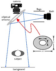 Un flash annulaire gratuit - diagramme