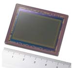 Sony Full Frame 24 mega-pixel sensor