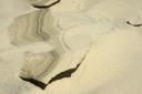 Free nature wallpapers: Sand - Copyright (C) 2008 Yves Roumazeilles