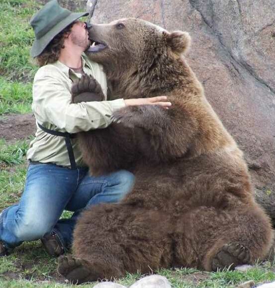 The kiss of the bear