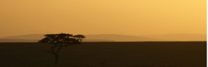Sun rise on the plains - Copyright 2008 Yves Roumazeilles