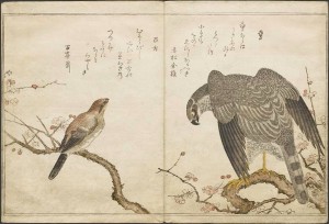 Ukiyo-e books by Kitagawa Utamaro