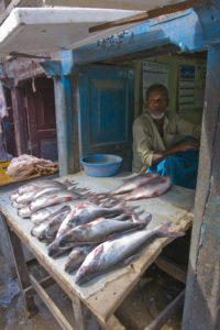 _DSC5378w - Poissonnier