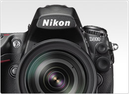 Nikon D800, latest news
