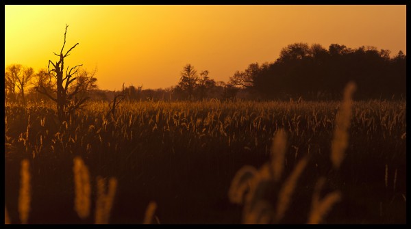 Botswana landscapes