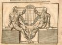 Historical anatomies – Anatomy in history