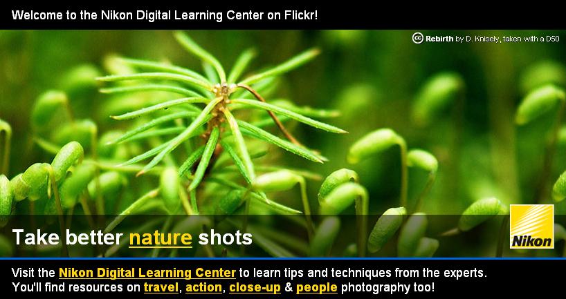 Nikon wants to help photographers on Flickr