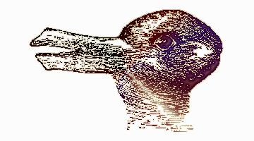 Duck or rabbit?