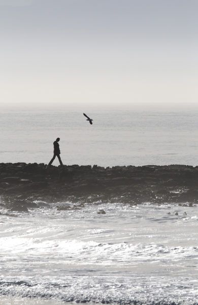 Promeneur et mouette