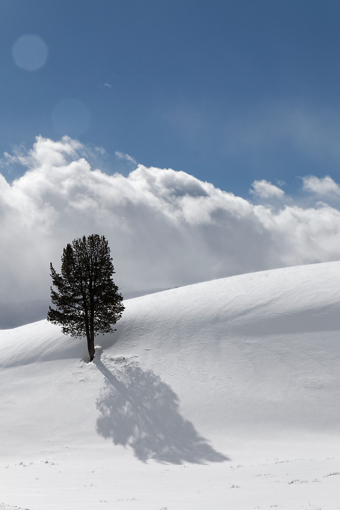 Winter landscapes in Yellowstone