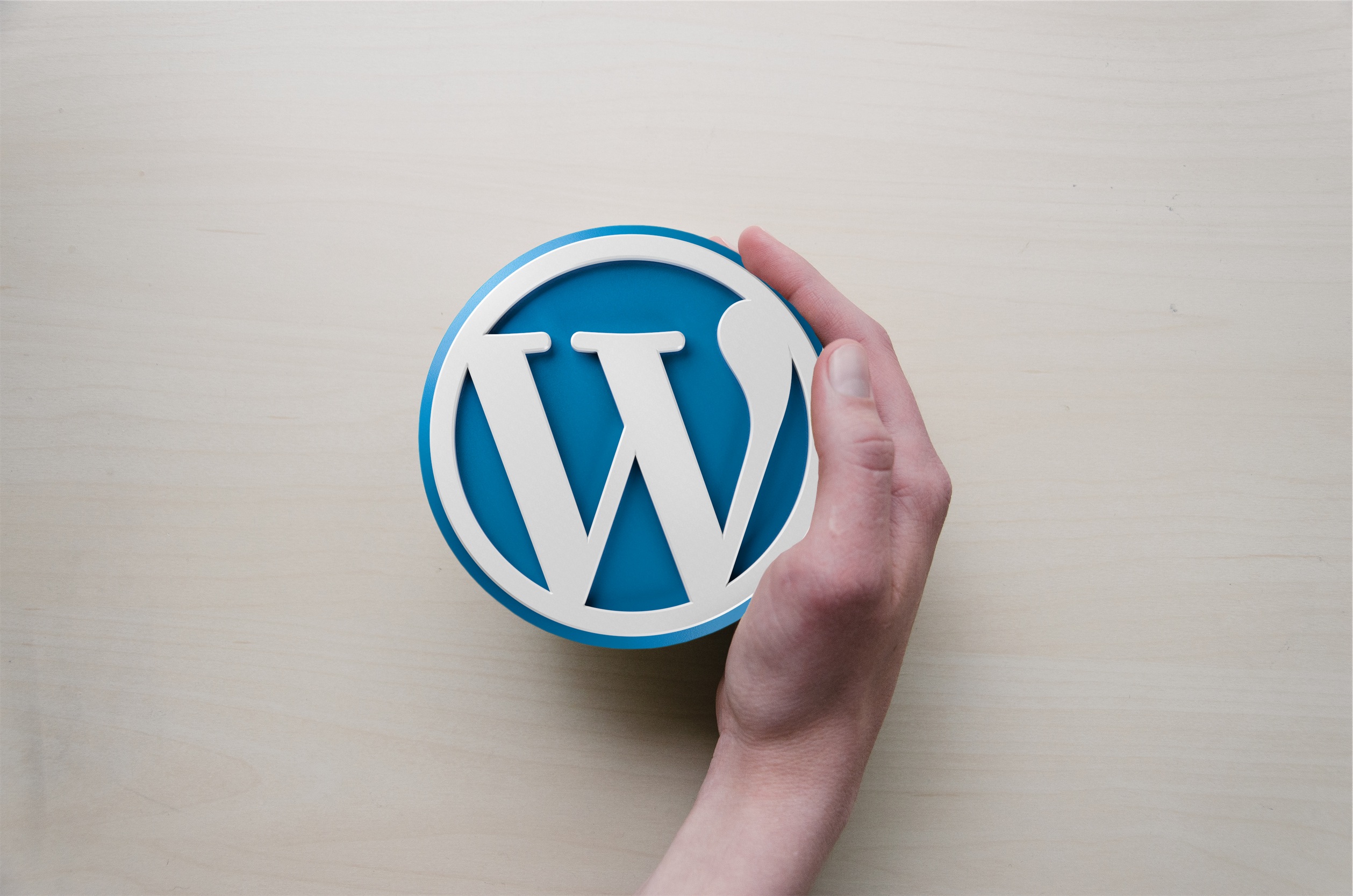 WordPress symbol