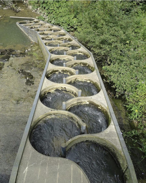 Fish ladder