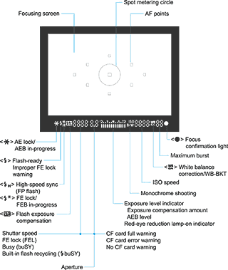 Canon EOS 40D - viewfinder