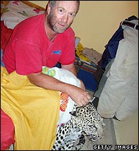 Léopard dans le lit