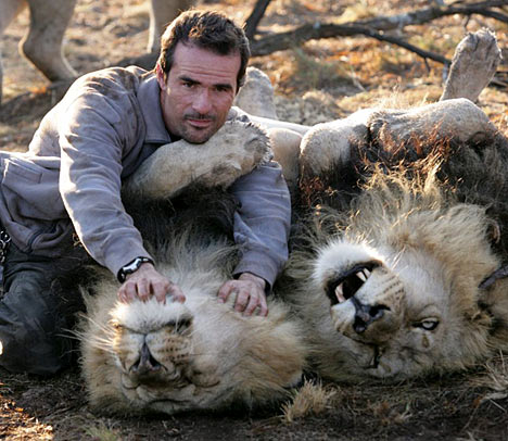 Kevin Richardson and lions