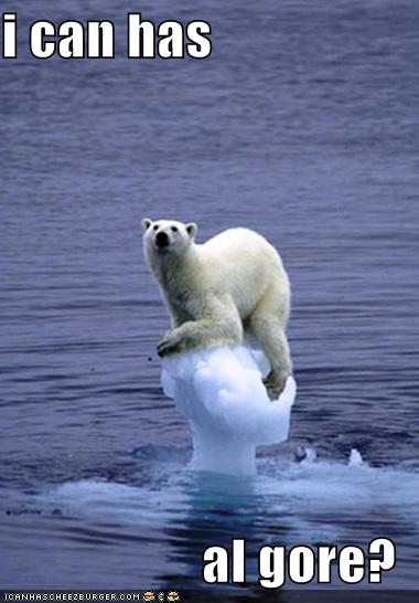 Funny picture. Global warming polar bear