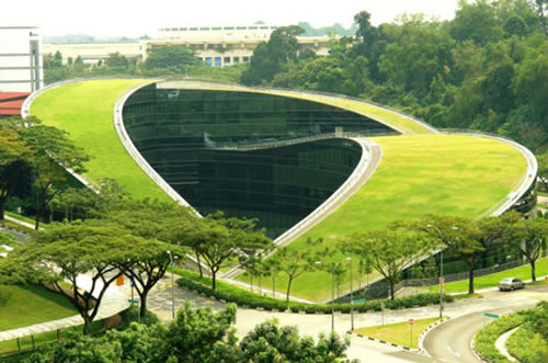 Green roof of the School of Art, Design and Media at Nanyang Technological University