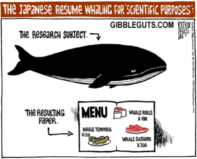 Japanese whale menu