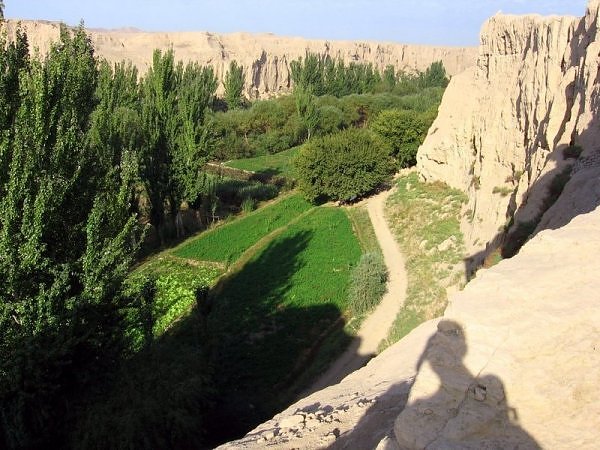 Oasis - Turpan, China