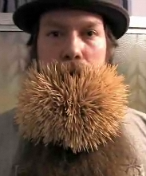 2222 toothpicks in a single beard!
