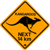 Kangourous à Rambouillet