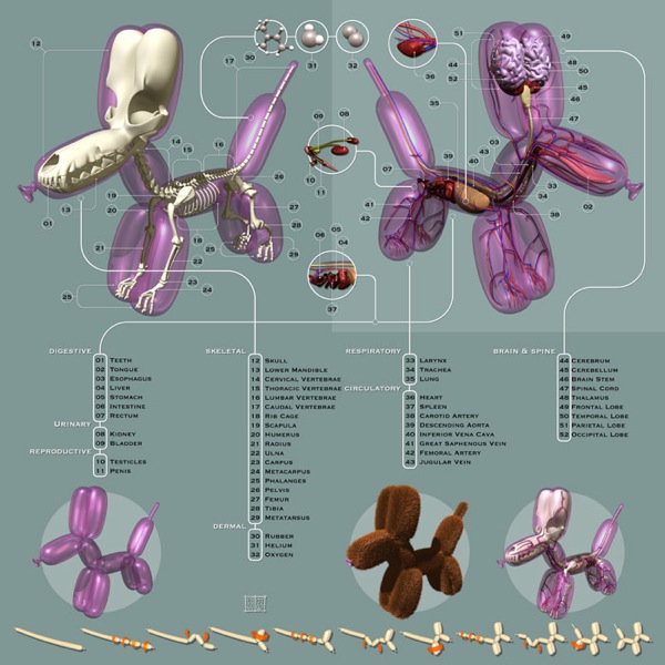 Anatomie d’une créature imaginaire