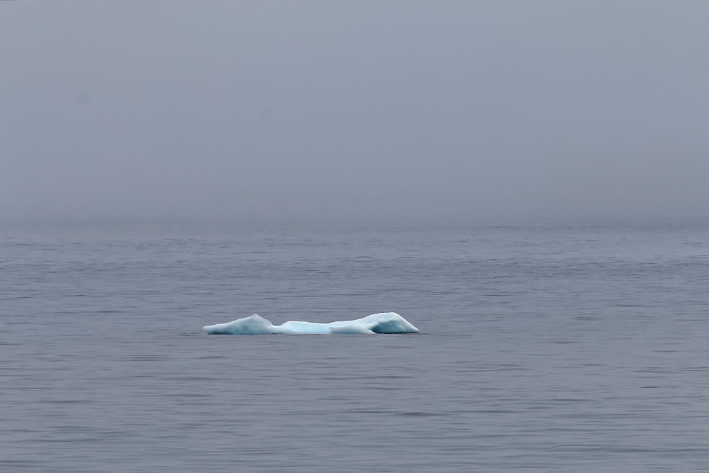 Icebergs bleus à Resolute