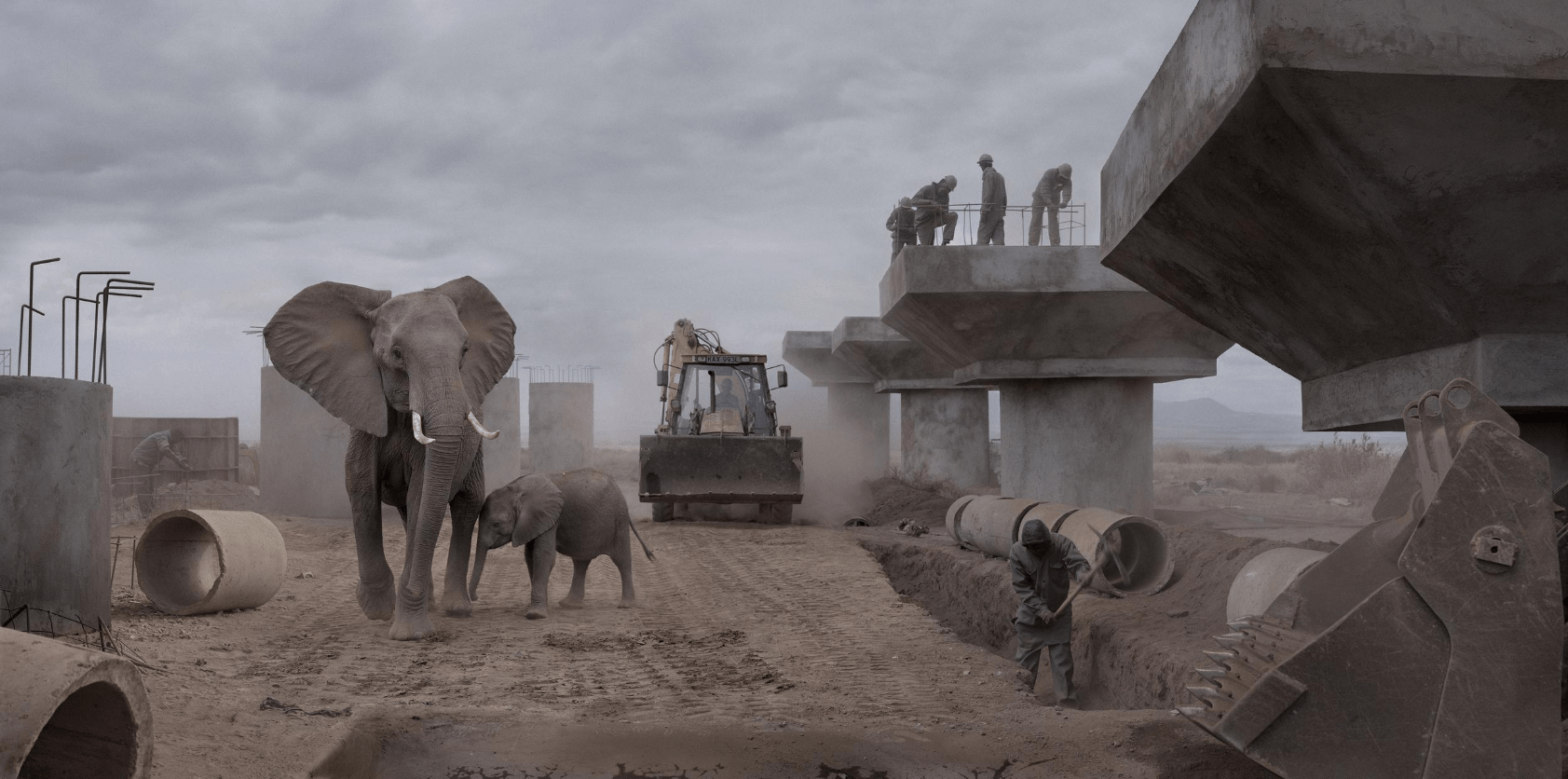 Elephants and bridge construction, Nick Brandt