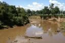 Mara river, crocodile gorge